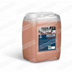 INJECLEAN �������� ��� ������� ��������. ���� ��������� � ����������.